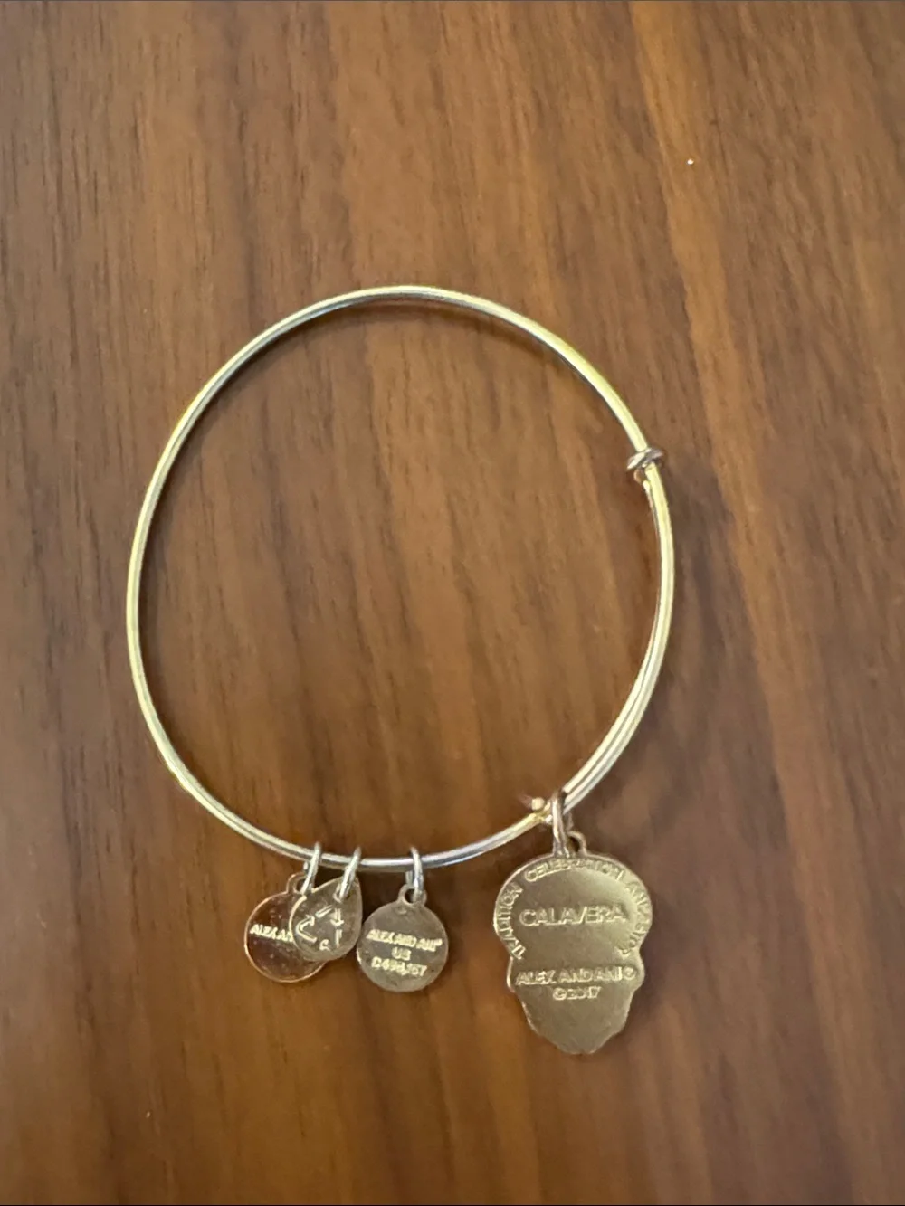 Alex and Ani bracelet